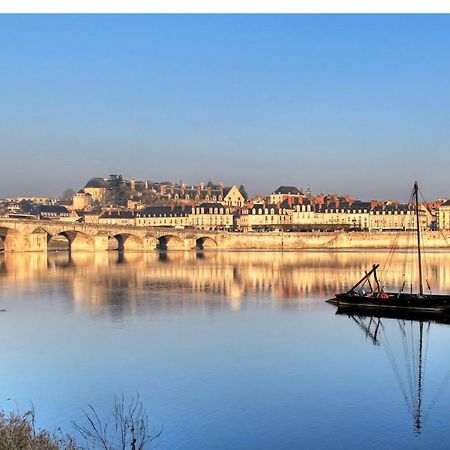 Les Lumieres De La Loire Apartment บลัวส์ ภายนอก รูปภาพ