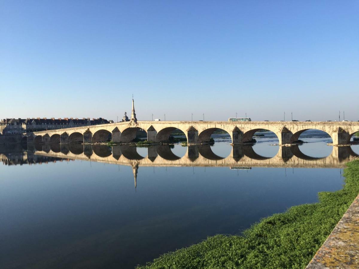 Les Lumieres De La Loire Apartment บลัวส์ ภายนอก รูปภาพ