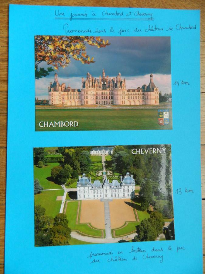Les Lumieres De La Loire Apartment บลัวส์ ภายนอก รูปภาพ
