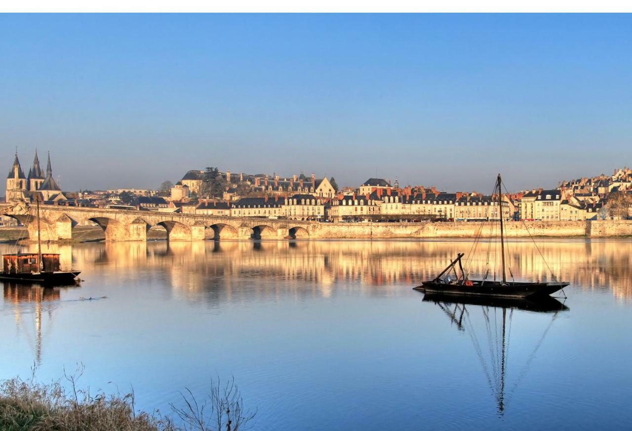 Les Lumieres De La Loire Apartment บลัวส์ ภายนอก รูปภาพ